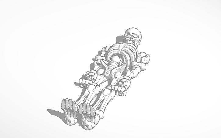 3D design Skeleton - Tinkercad