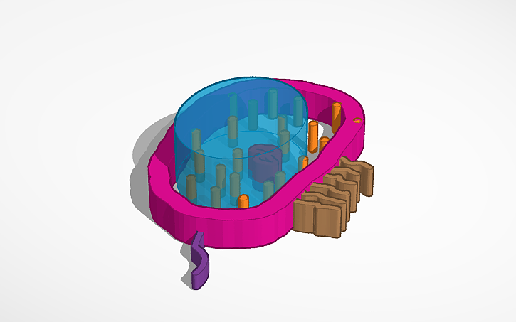 Test Cell Tinker 3D design Giavanna D. Bacterial Cell - Tinkercad