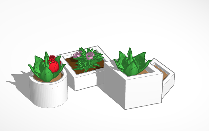 3D design Pot Plants 2 - Tinkercad