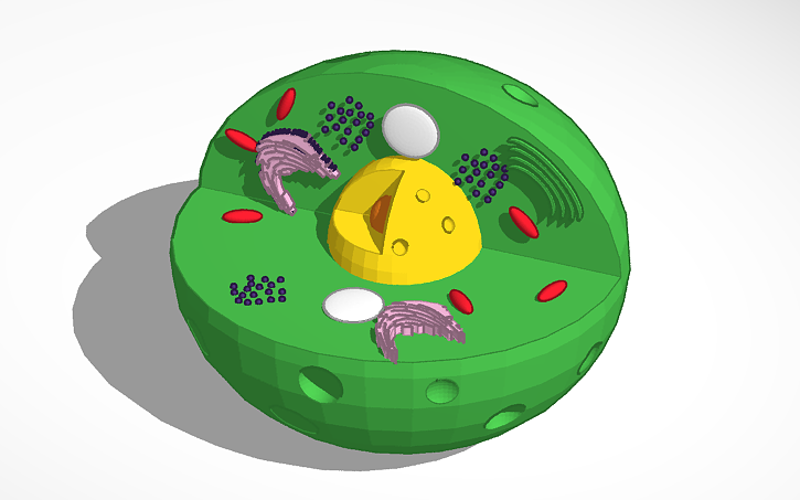 3D design 3D cell modal - Tinkercad