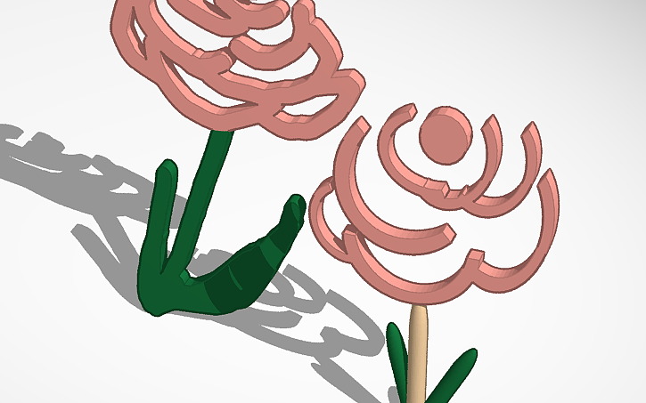 3D design #Rose Drawing *attempt* - Tinkercad
