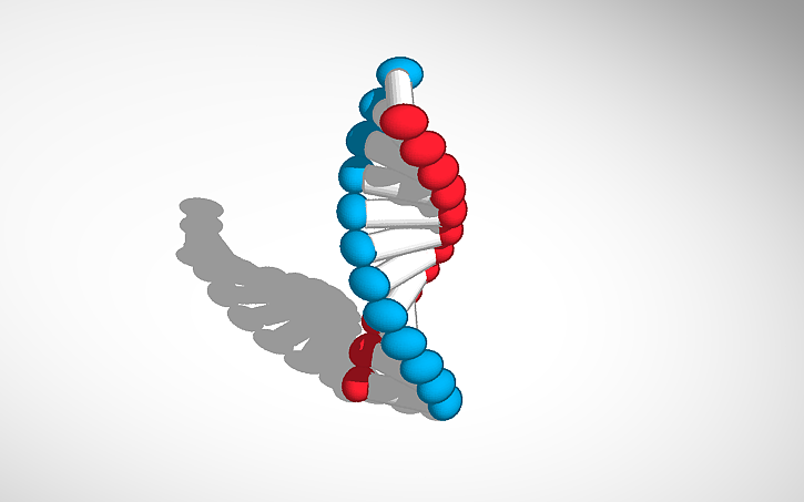 3D design DNA - Tinkercad