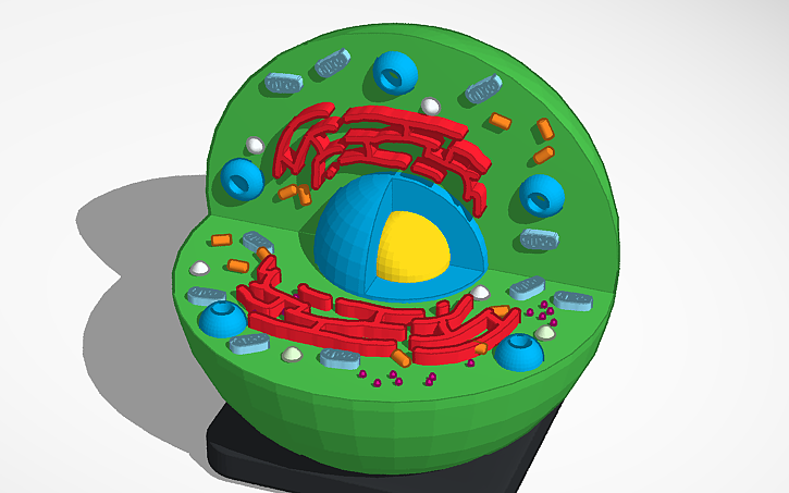 3D design Cell (3d Printable) - Tinkercad