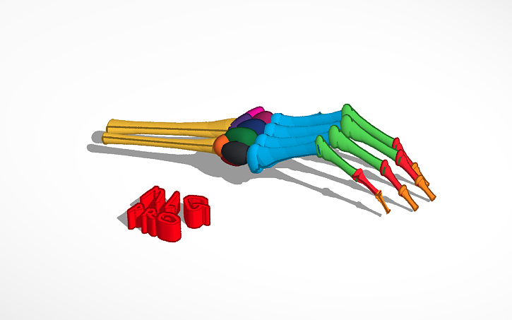 3D design Hand - Tinkercad