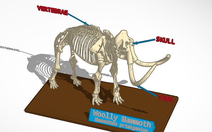 3D design Mammoth Presentation - Tinkercad