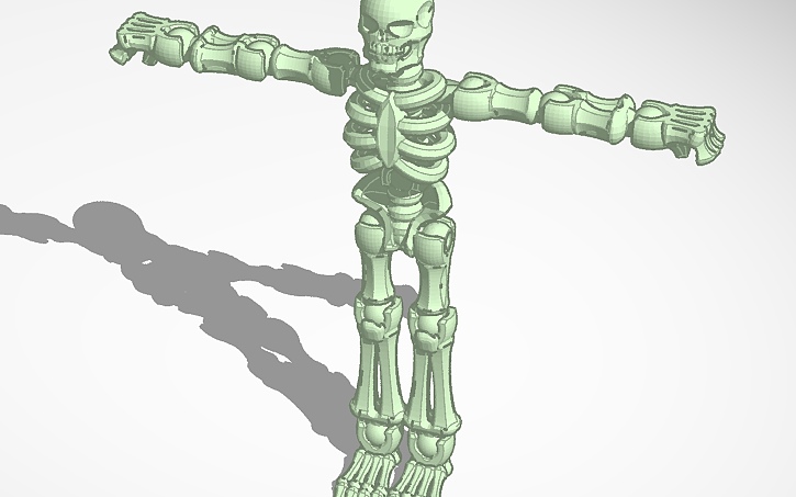 3D design ragdoll skeleton - Tinkercad