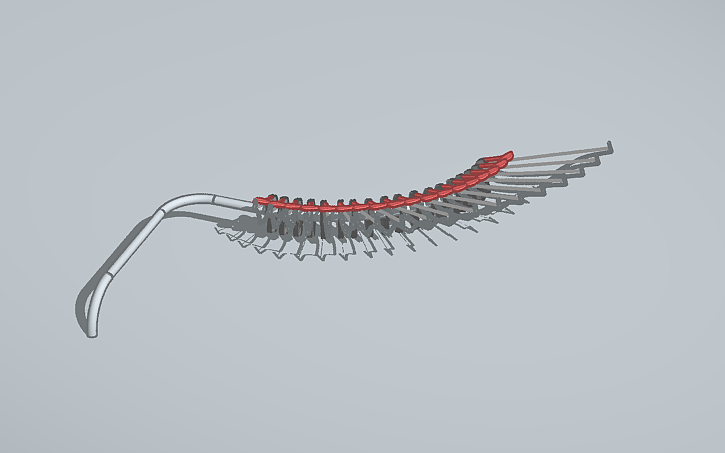 3D design irregular incurve - Tinkercad