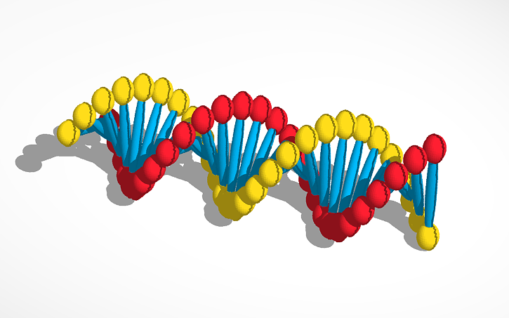3D design DNA Structure - Tinkercad