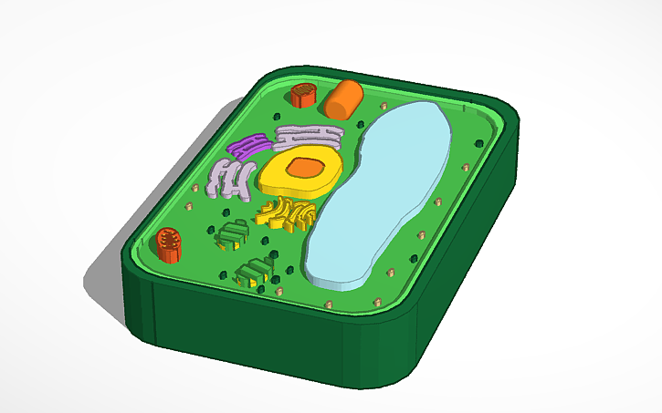 Test Cell Tinker 3D design plant cell - Tinkercad