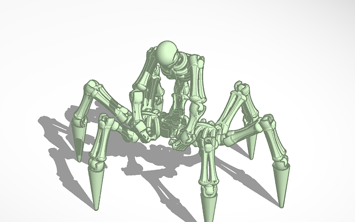 3D design skeli spider - Tinkercad