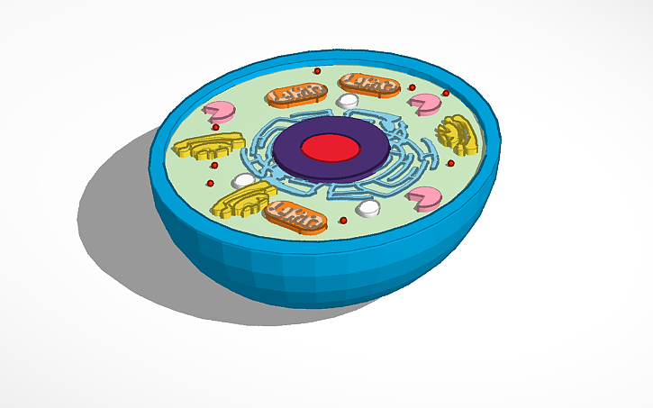 3D design stepbystep cell - Tinkercad