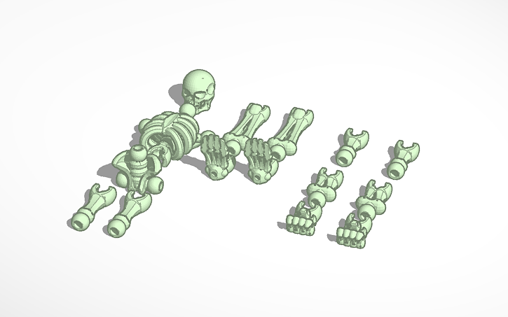 3D design moveable skeleton - Tinkercad