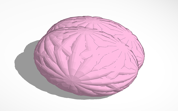 3D design Brain - Tinkercad