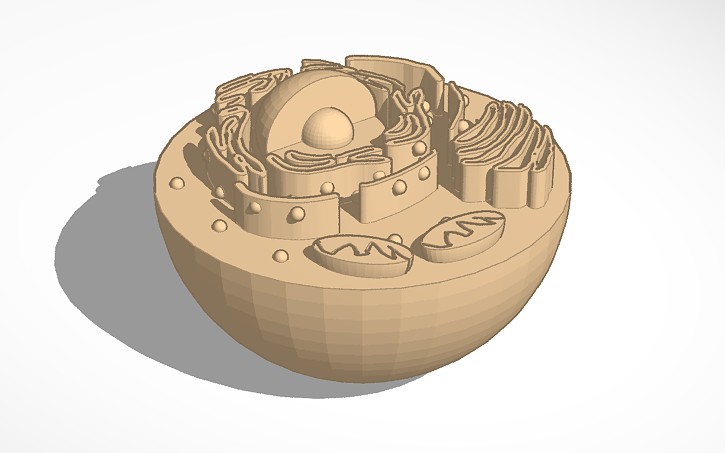 3D design cell - Tinkercad