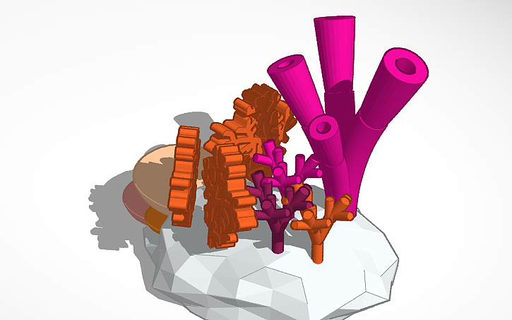 3D design Coral Project - Tinkercad