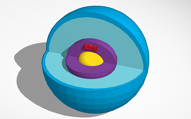 Thinkercad Science 3D design Science Track - Tinkercad