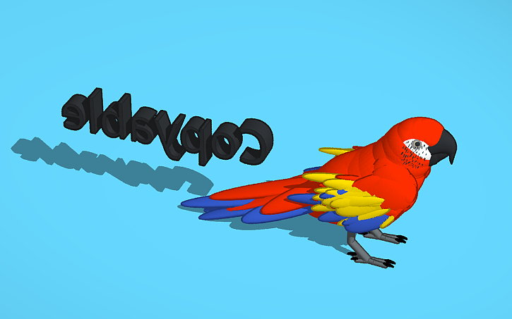 3D design Scarlet macaw and written copyable - Tinkercad